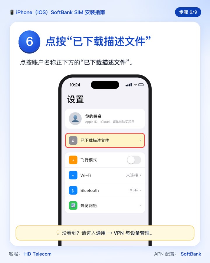 第 6 步：“设置”中的“已下载描述文件”一栏
